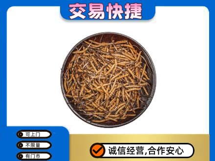 忻州市岢岚高价回收散虫草