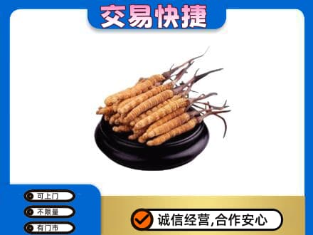 忻州市岢岚回收冬虫夏草多少钱每克